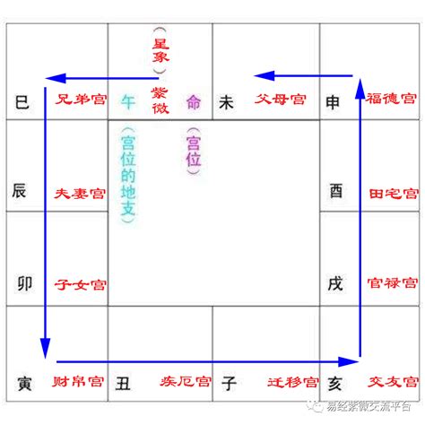 紫薇十二宫|紫微命盤十二宮詳解